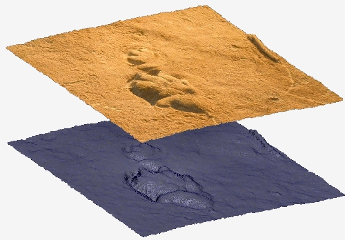 photogrammetrisch in 3D erfasste Fährten des sog. Handtieres <i>Chirotherium</i> aus dem Buntsandstein (Trias)